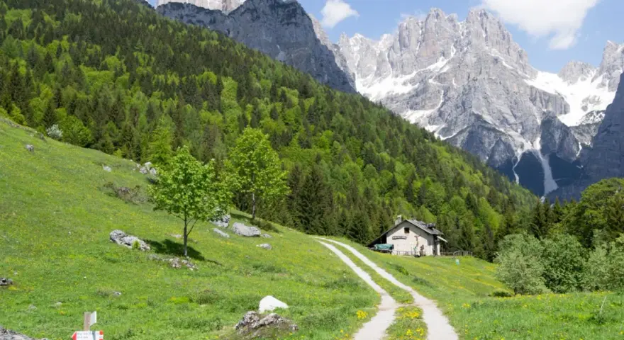 Sentiero che sale verso un rifugio sull'**altopiano Paganella**, circondato da prati fioriti e boschi rigogliosi, con imponenti vette rocciose sullo sfondo.