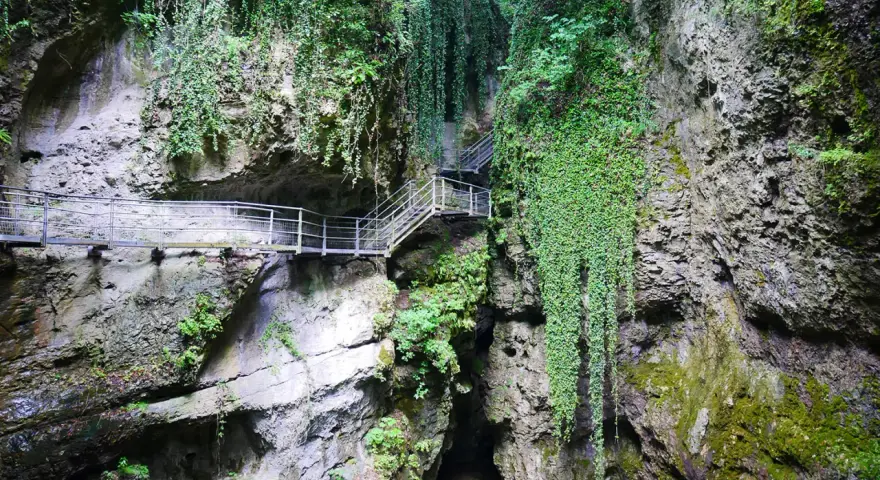 Sentiero attrezzato nel canyon Val di Non, tra rocce ricoperte di vegetazione e cascate di edera.