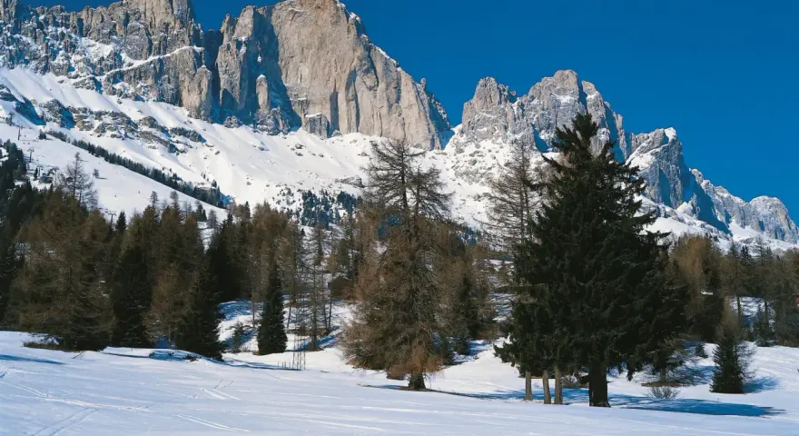 Vaste cime innevate dominano il paesaggio alpino. La **passo costalunga altitudine** è raggiunta tra boschi di conifere e un cielo azzurro intenso.