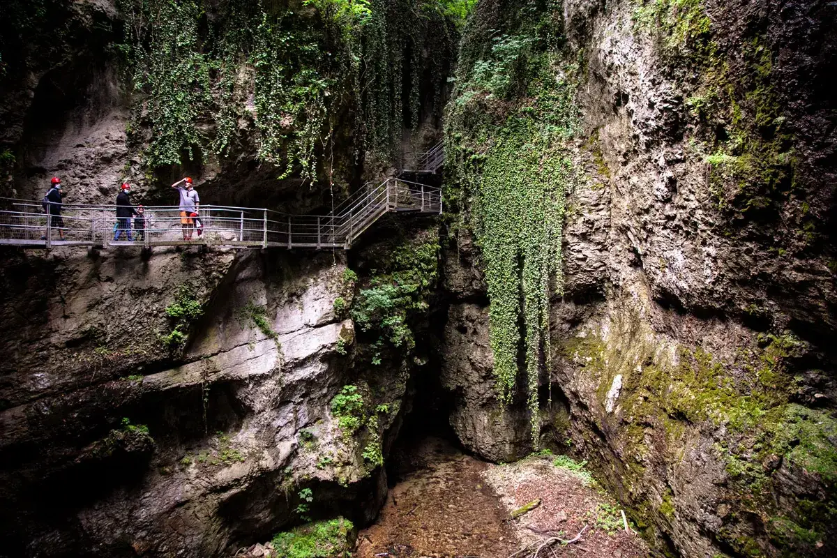 Sentiero attrezzato nel rio Sass fondo, tra pareti rocciose ricoperte di vegetazione e cascate di edera.