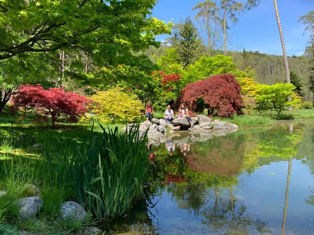 Un laghetto riflette alberi rossi e gialli in un giardino giapponese. Un luogo incantevole da visitare a Comano Terme.