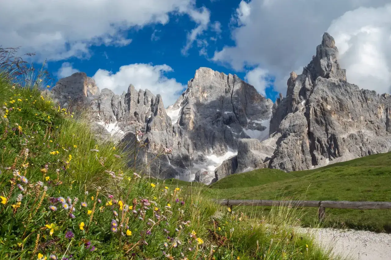 Prato fiorito e montagne imponenti al Passo Rolle, ideale per escursioni estive.