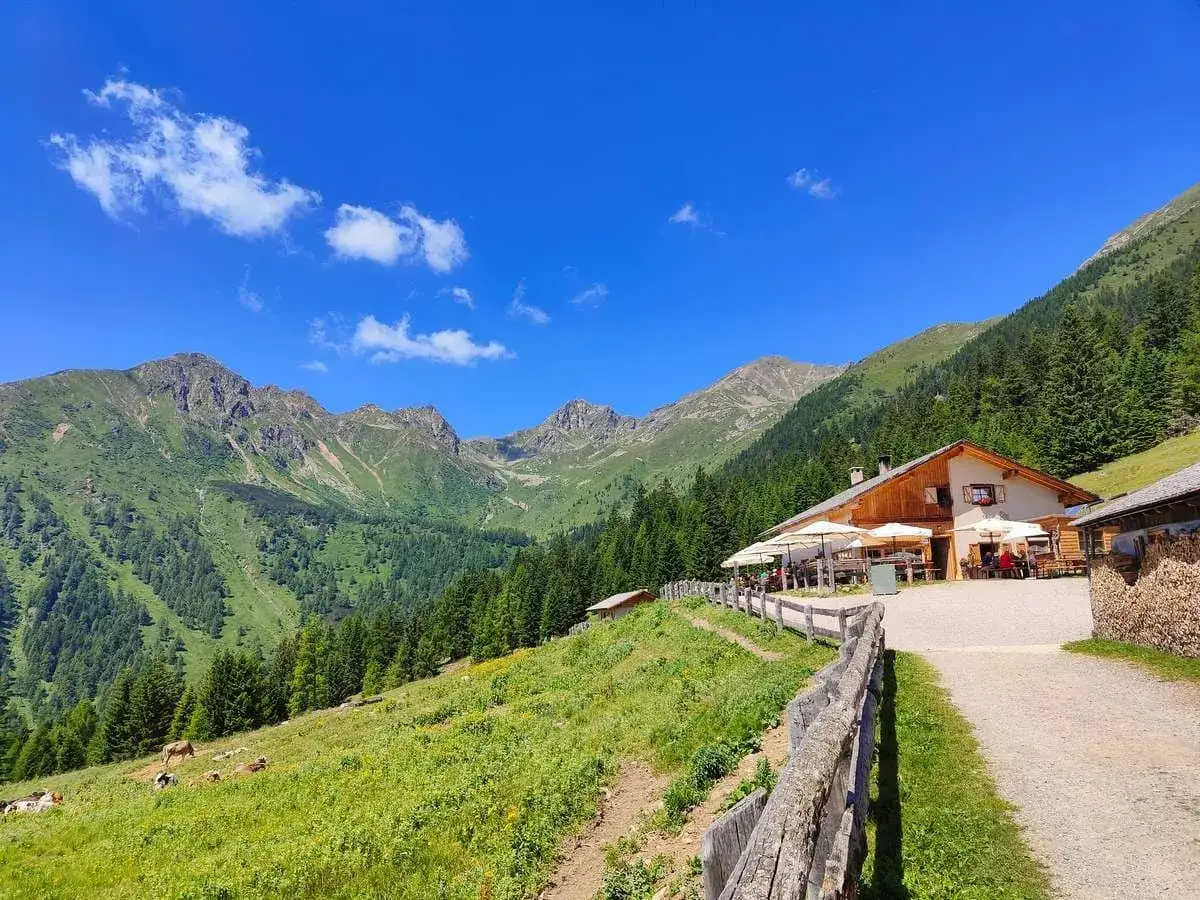 Un rifugio alpino accogliente, parte del giro delle malghe in Val di Non, con tavoli all'aperto e montagne verdi sullo sfondo.