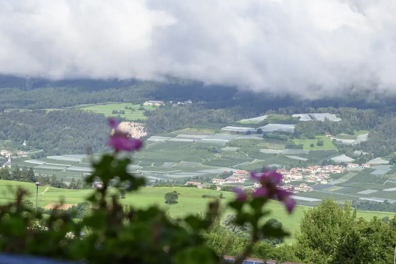 Panorami di Ronzone con campi coltivati e nuvole basse. Ideale per passeggiate tra la natura.