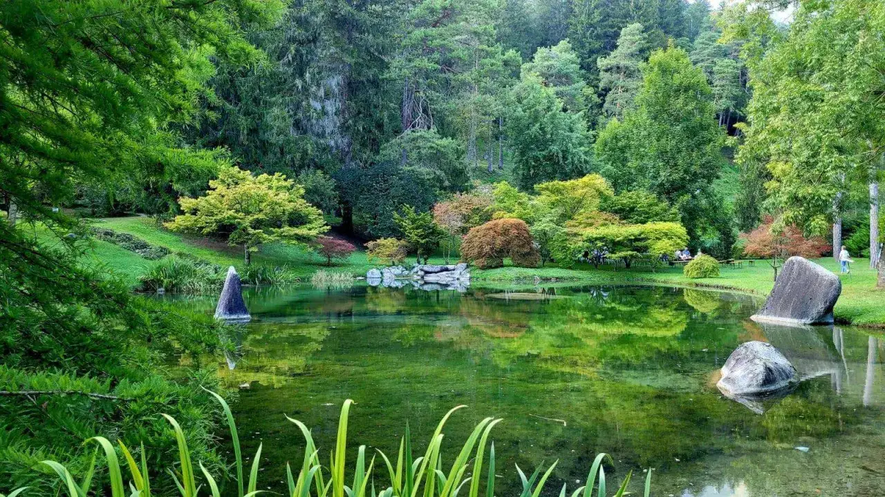 Un angolo di pace al lago di Comano, con alberi rigogliosi, rocce suggestive e un'acqua cristallina che riflette il verde intenso.