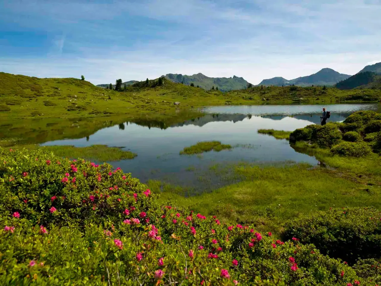 Un escursionista ammira il lago delle buse, circondato da prati verdi e fiori rosa. Riflessi sulle acque calme e montagne sullo sfondo.