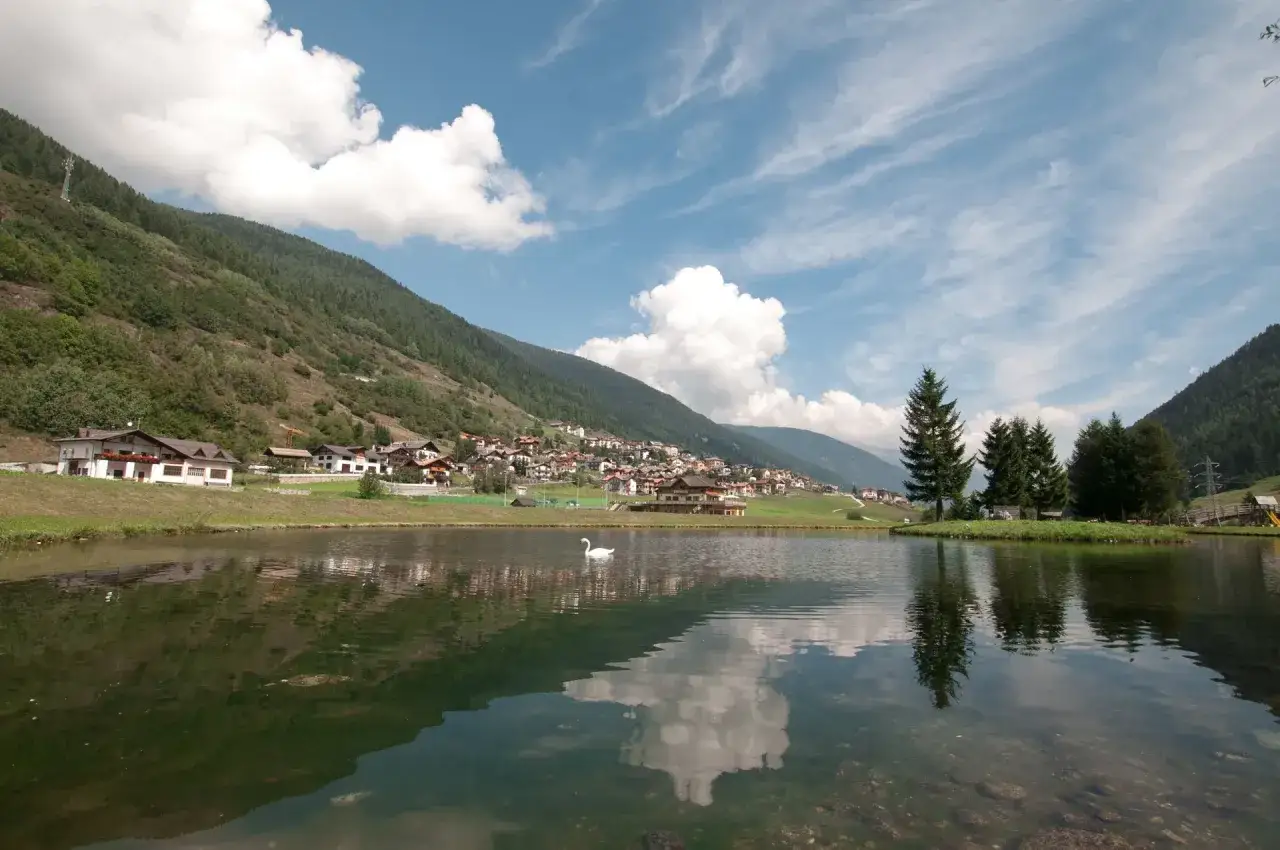 Un cigno solitario nuota nei laghetti di Vermiglio, con un villaggio alpino sullo sfondo e montagne verdi sotto un cielo azzurro con nuvole bianche.