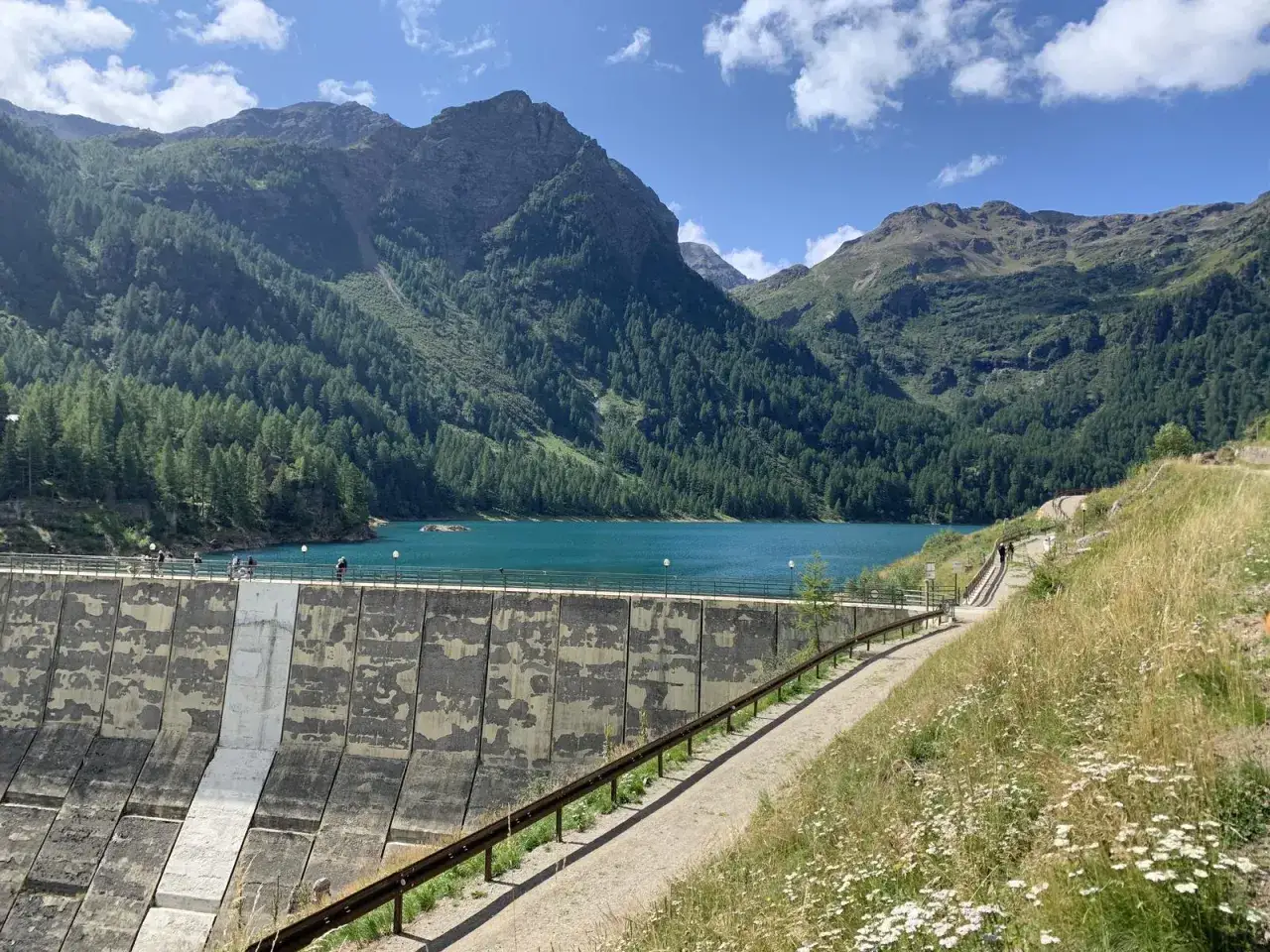 Sentiero panoramico lungo la diga del lago di Pian Palù, con montagne boscose sullo sfondo e cielo azzurro.