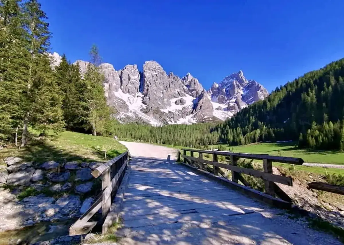 Ponte in legno su ruscello, sentiero per trekking Val Venegia con maestose vette dolomitiche innevate e boschi verdi.
