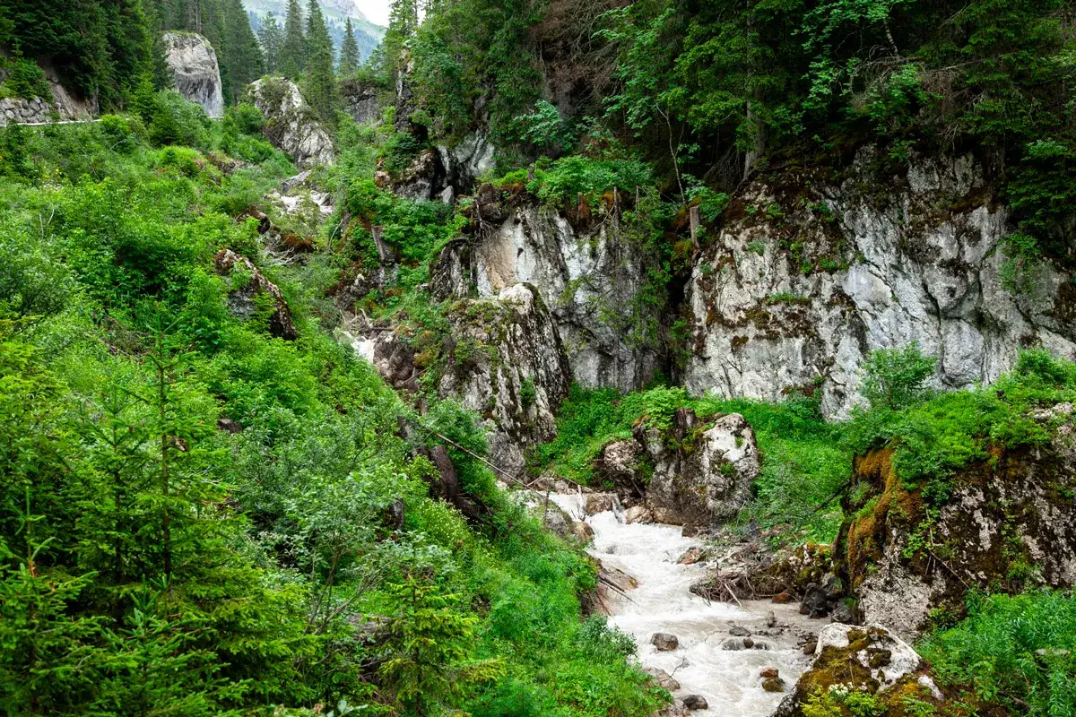 Un torrente impetuoso scende tra rocce e vegetazione lussureggiante, creando le suggestive cascate Schiavaneis.