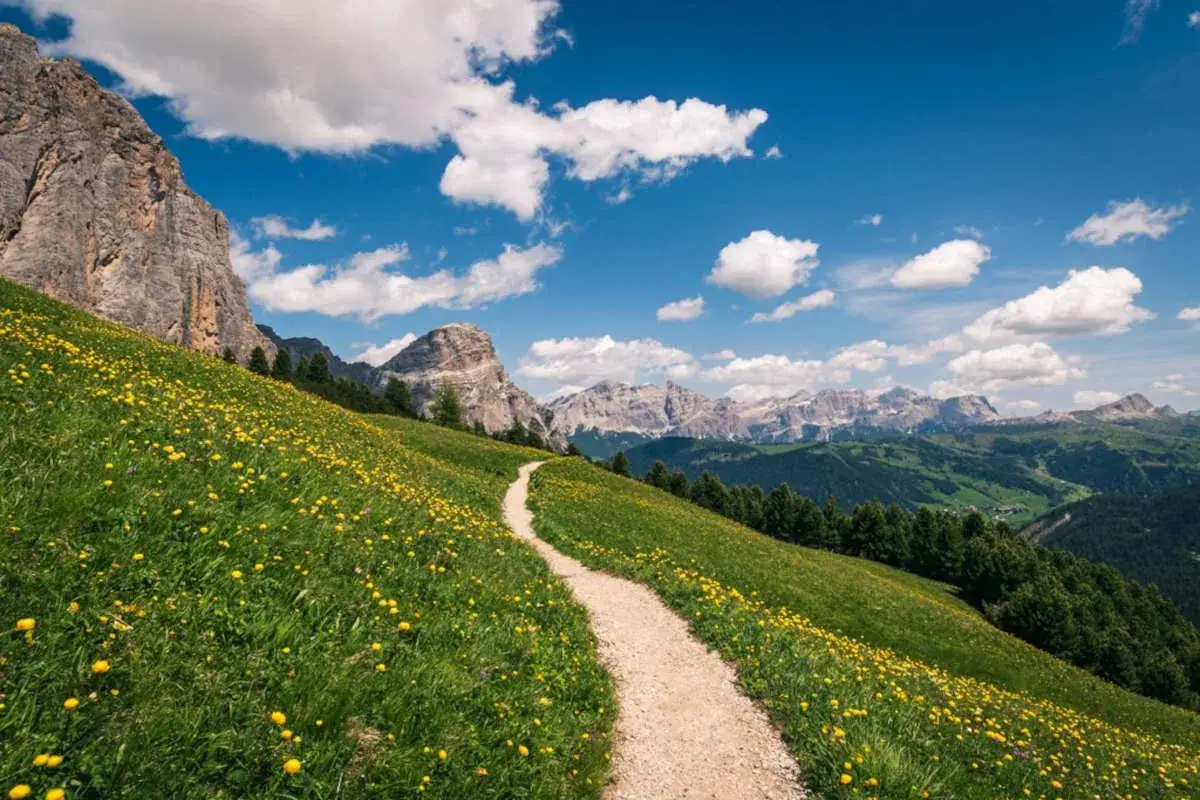 Sentiero tortuoso su un prato fiorito, ideale per chi cerca dove fare trekking tra le maestose Dolomiti.