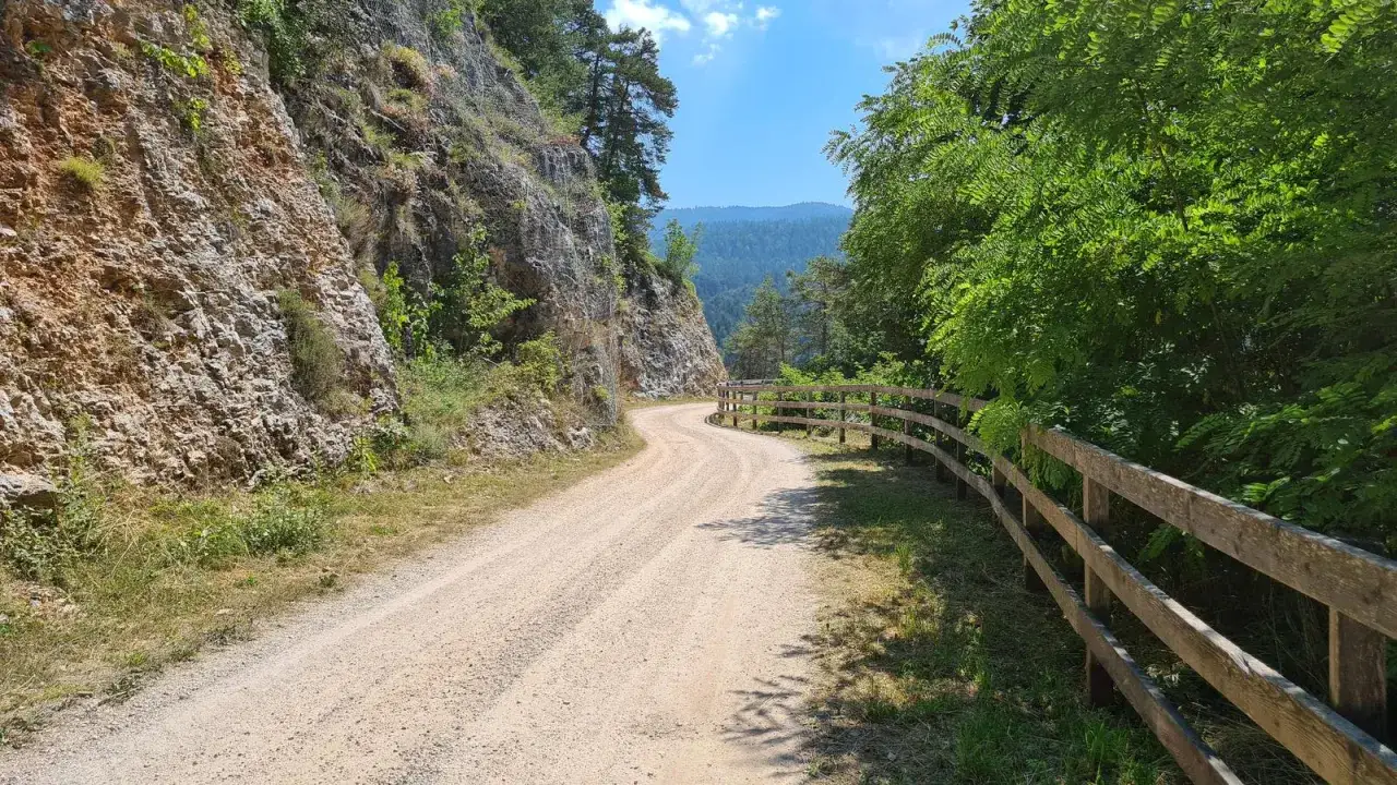 Strada sterrata serpeggiante, fiancheggiata da una parete rocciosa a sinistra e da una staccionata in legno e alberi a destra. Ideale per una passeggiata dria al fos.