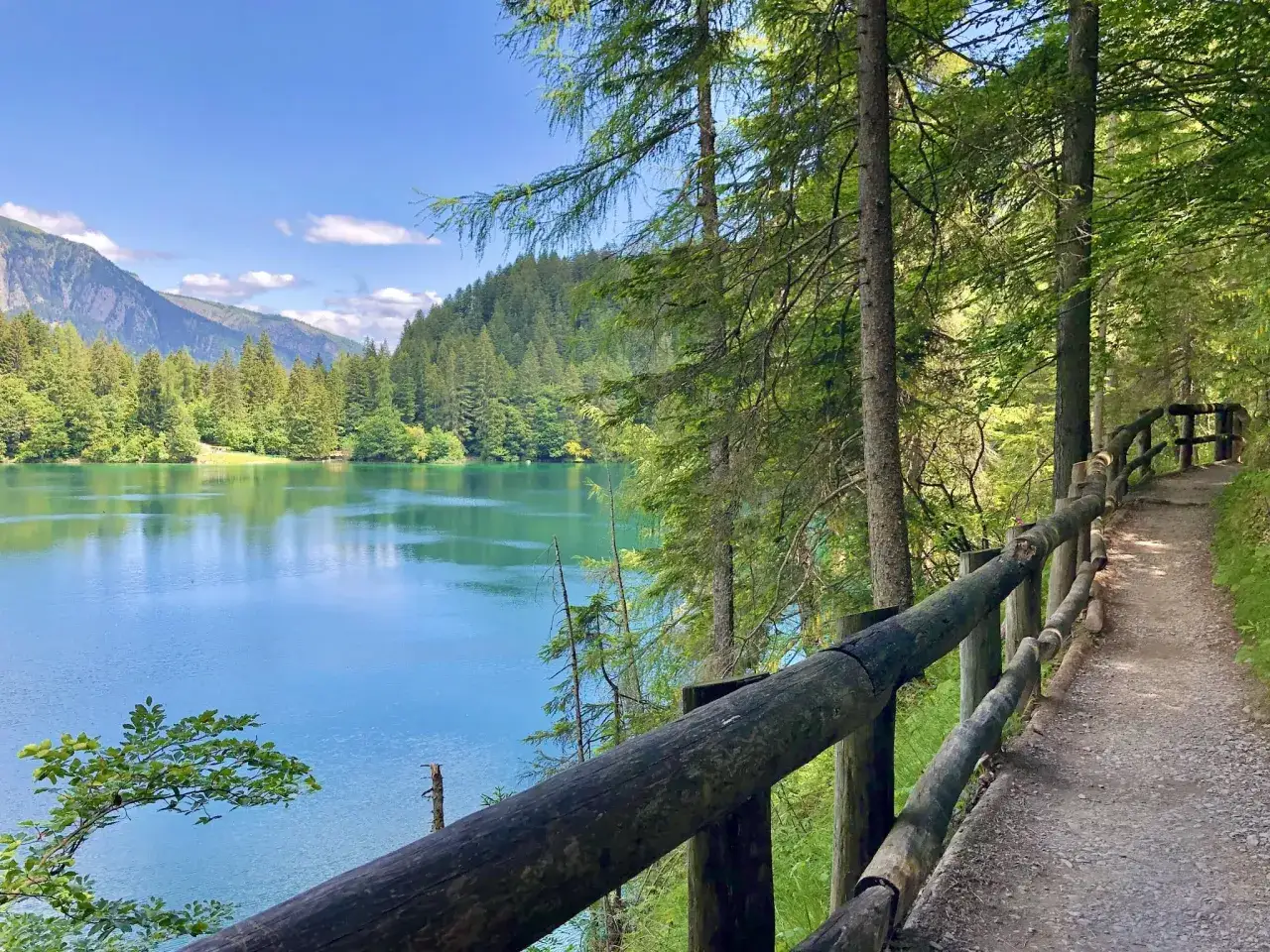 Sentiero panoramico lungo il lago di Tovel, con alberi secolari e montagne sullo sfondo.
