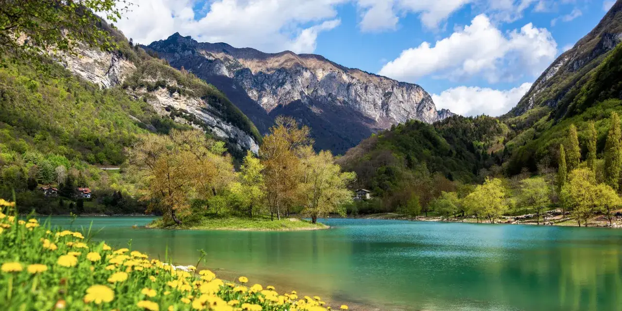Prato fiorito di gialli ranuncoli e un'isola verde nel lago di Tenno, circondato da montagne boscose e un cielo azzurro con nuvole bianche.