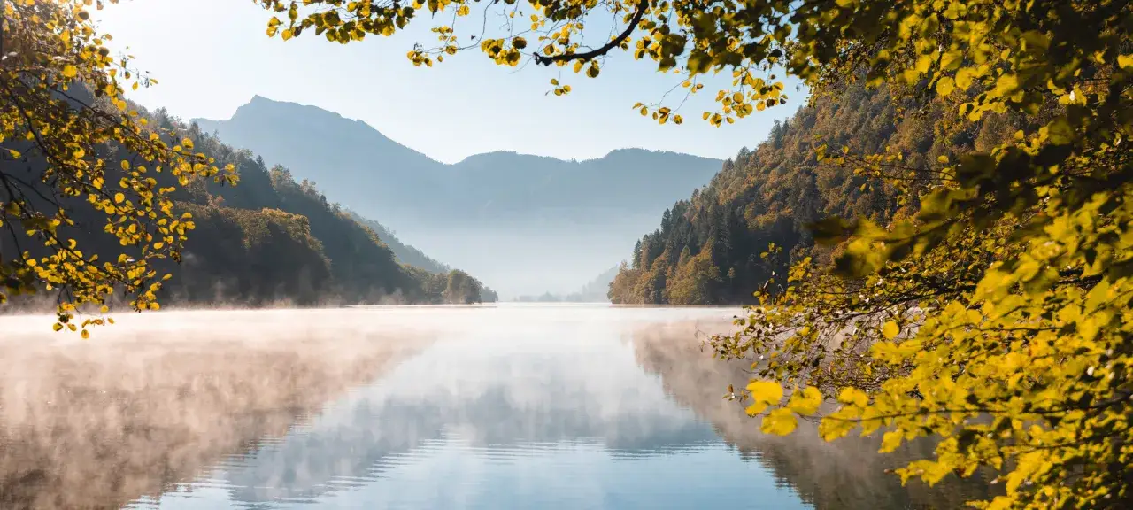 Nebbia mattutina su un lago alpino in Valsugana, Trento, con montagne sullo sfondo e rami dorati in primo piano.