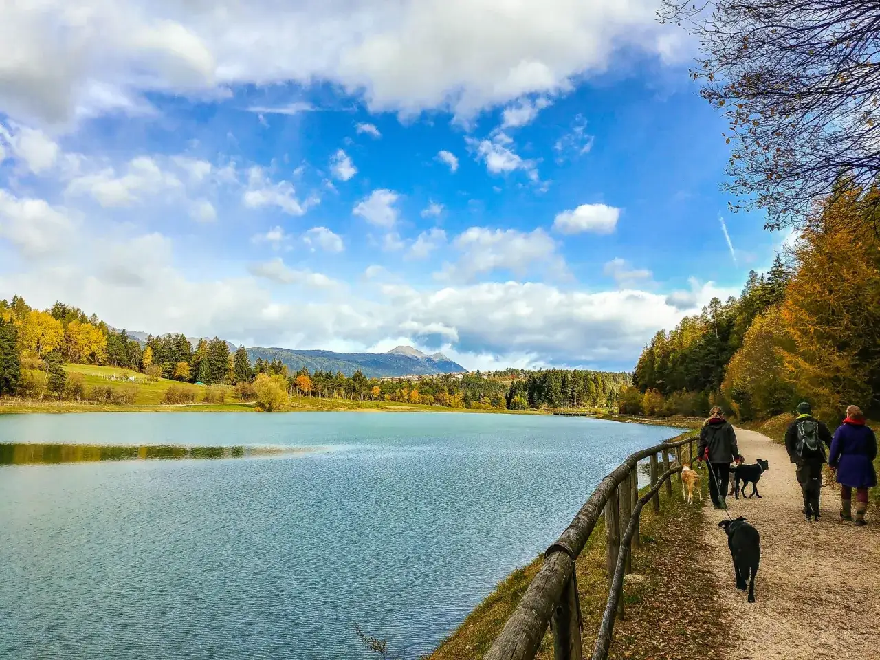 Passeggiata autunnale con cani lungo un lago, tra boschi colorati e montagne. Predaia cosa vedere: un paesaggio incantevole.