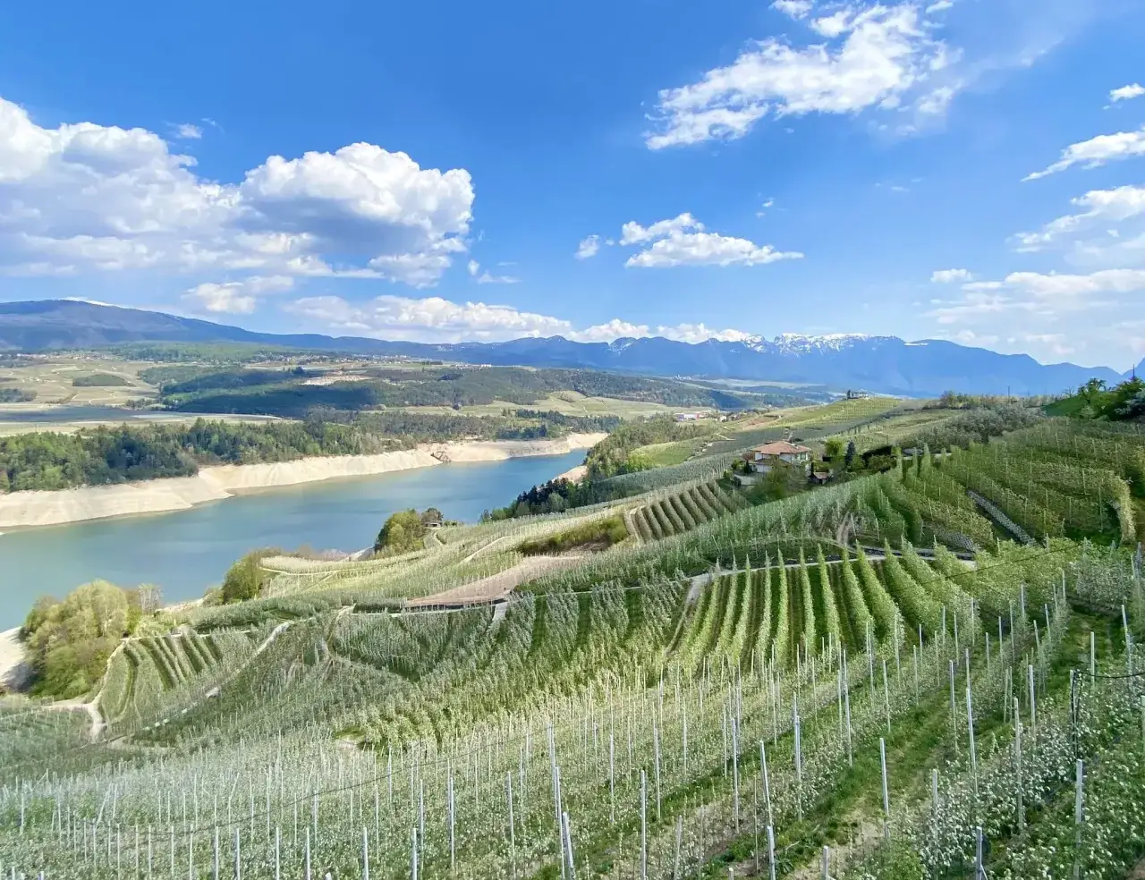 Viste panoramiche del lago di Santa Giustina, ideali per passeggiate tra rigogliosi meleti in fiore e montagne sullo sfondo.