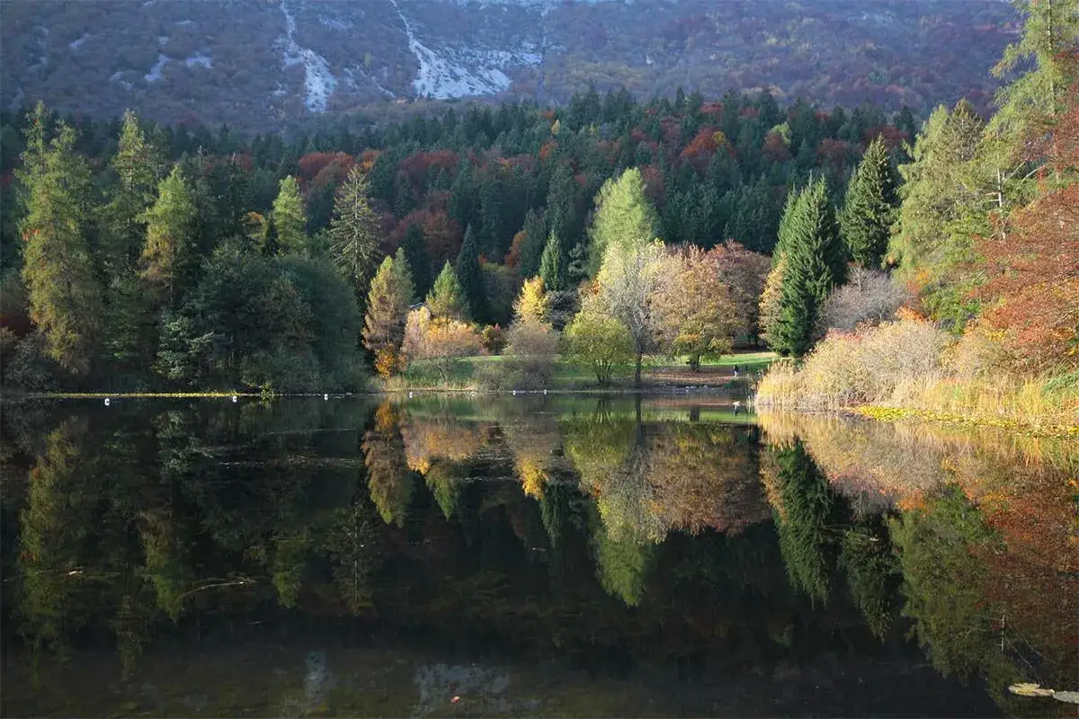 Autunno a Villa Lagarina, Rovereto: alberi dai mille colori si specchiano nel lago calmo, con montagne sullo sfondo.