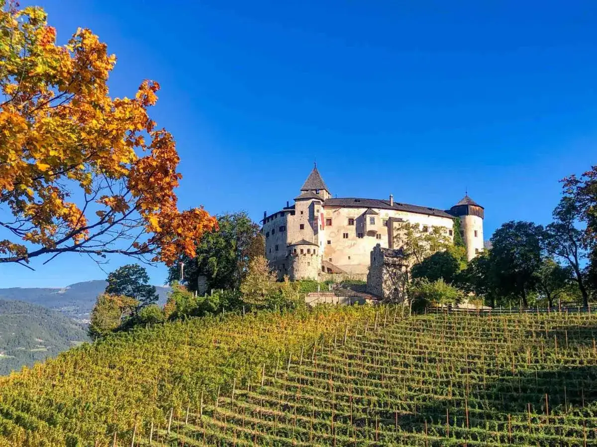 Castello imponente su una collina con vigneti rigogliosi. Un sentiero dei masi collega questo luogo magico alla natura circostante.