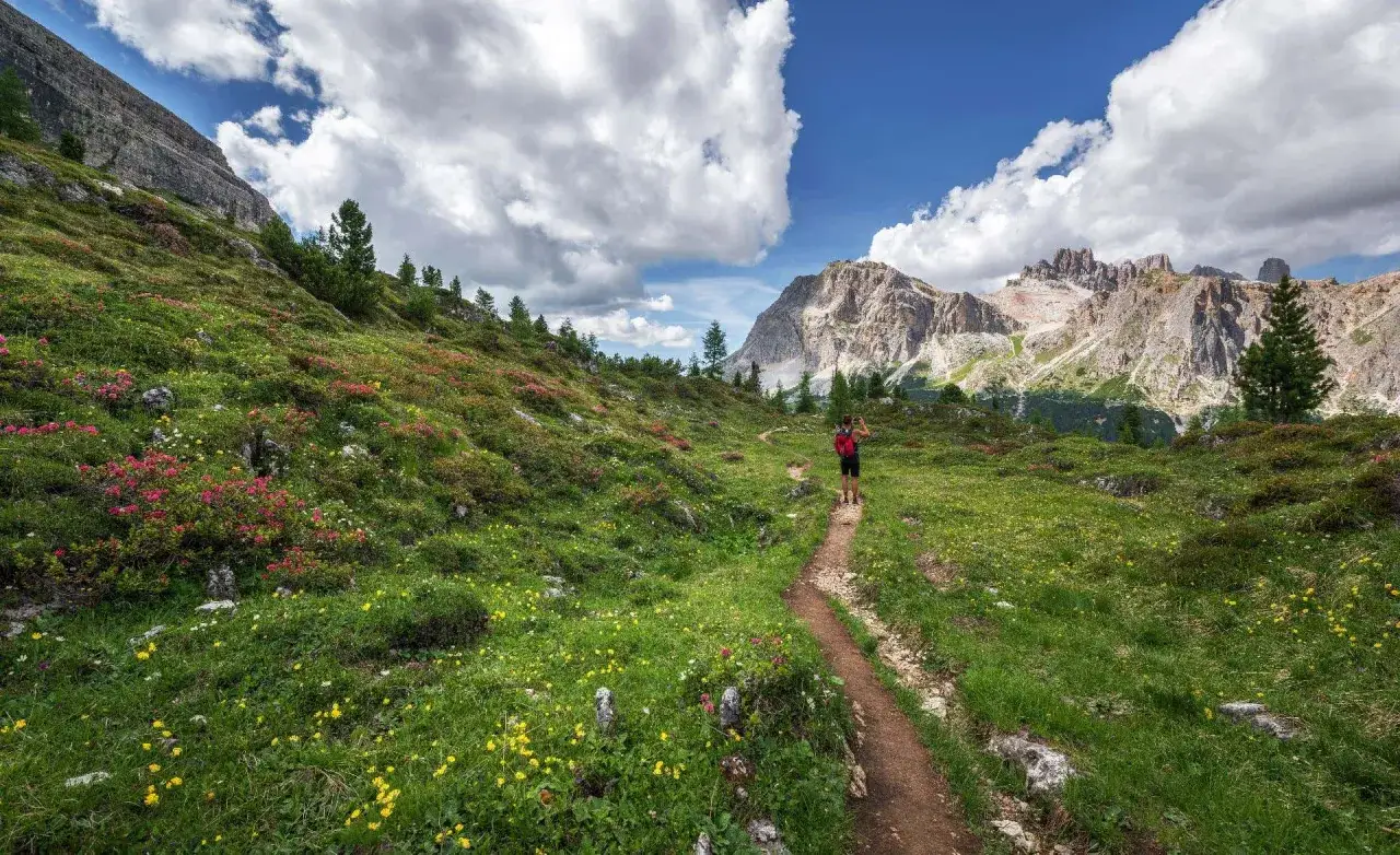 Sentiero fiorito in Val di Non, con un escursionista che ammira le montagne.