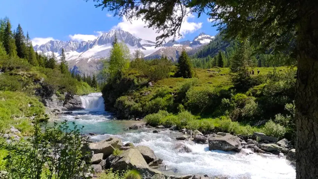 Un torrente impetuoso scorre tra rocce e vegetazione lussureggiante nel Val di Fumo, con montagne innevate sullo sfondo.