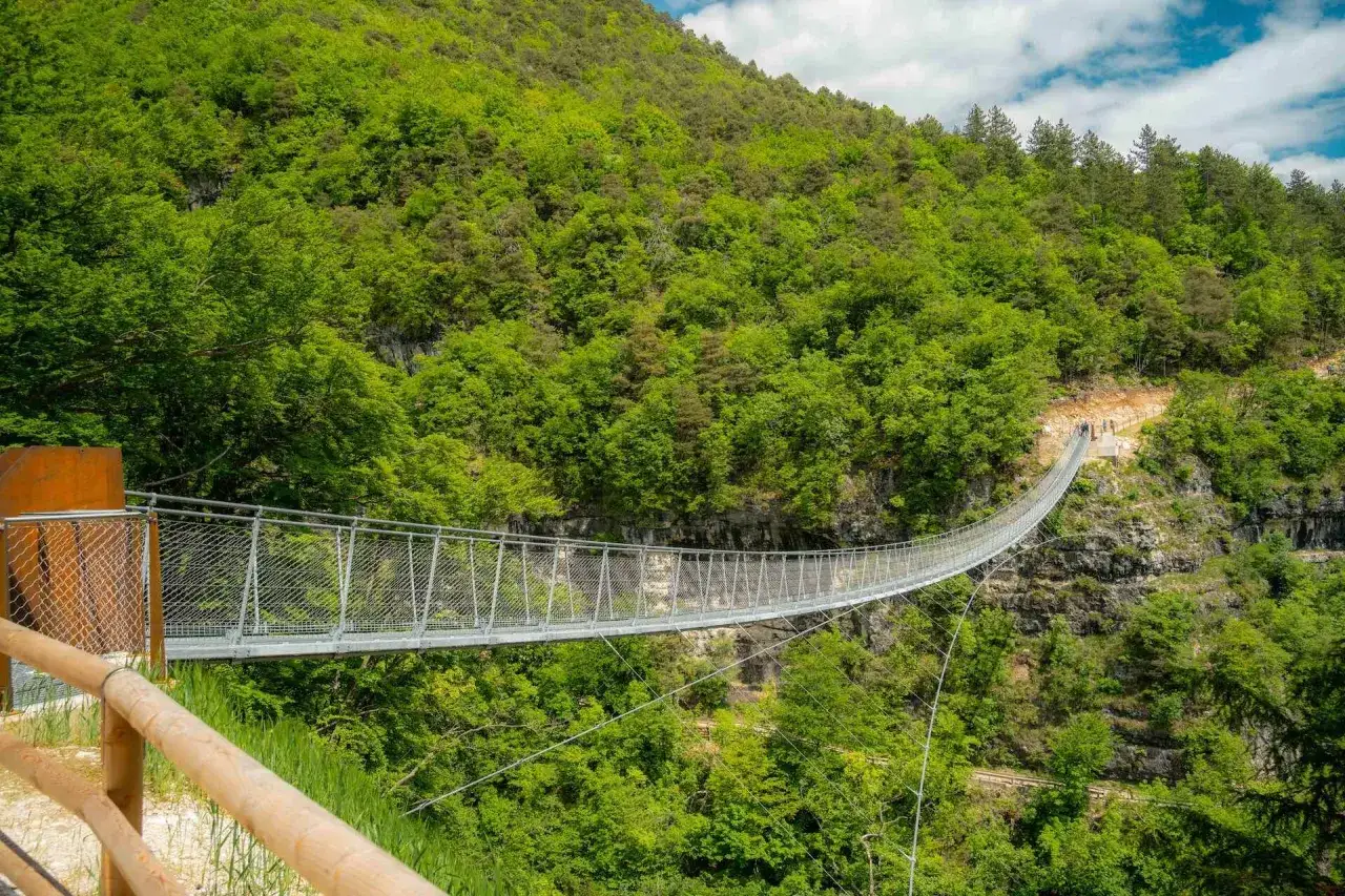 Un lungo ponte tibetano a Mezzolombardo attraversa una gola verdeggiante, collegando sentieri panoramici tra alberi lussureggianti.
