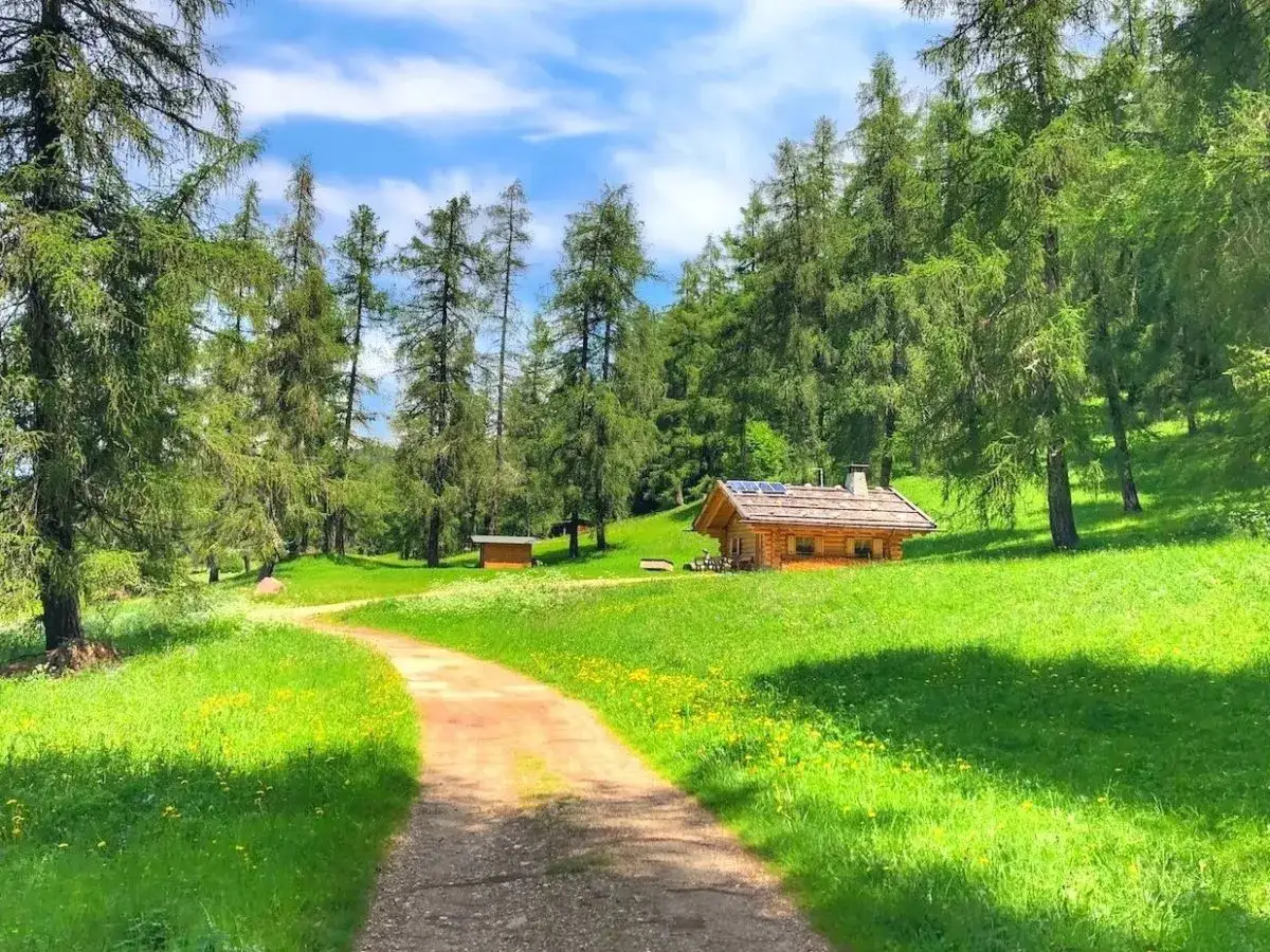 Sentiero sterrato tra prati verdi e alberi alti, conduce a un rifugio in legno. Ideale per malosco passeggiate nella natura.