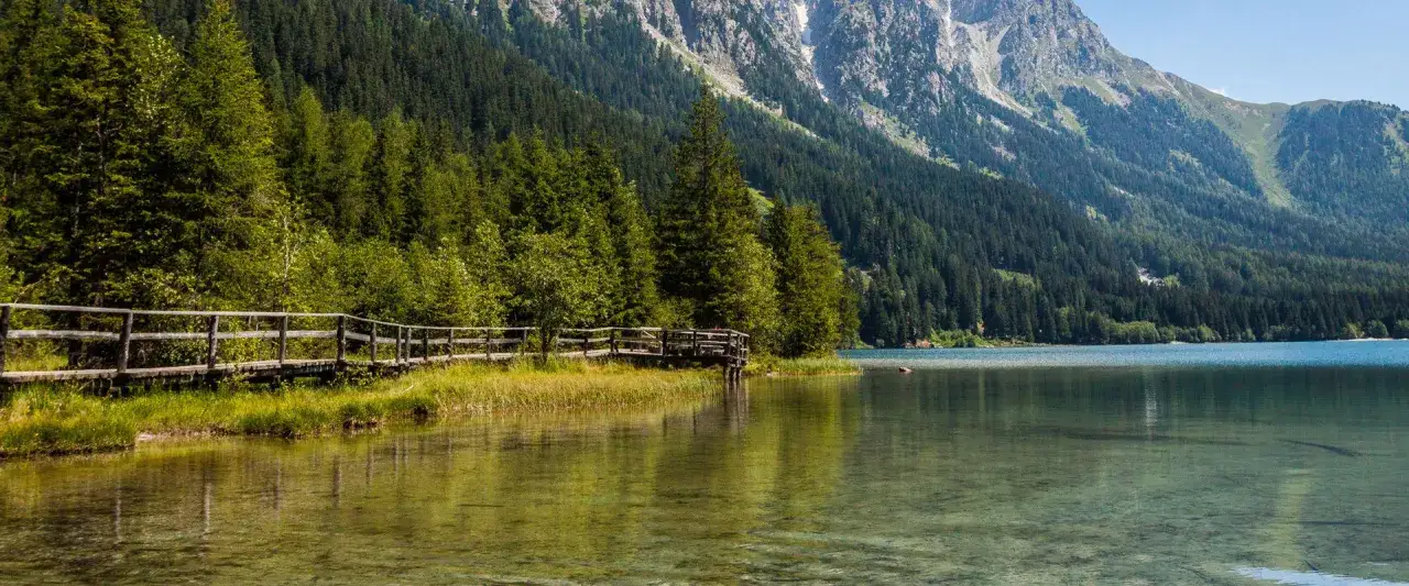Sentiero in legno lungo il lago di Lavis, circondato da fitti boschi e montagne imponenti.