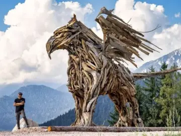 Grifone Vaia, scultura in legno. Per raggiungerlo, segui le indicazioni per il Trentino.