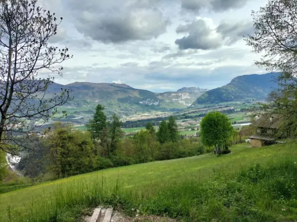 Prato verde e montagne sullo sfondo nella valle di Comano. Una casa con tetto in legno e un albero solitario.