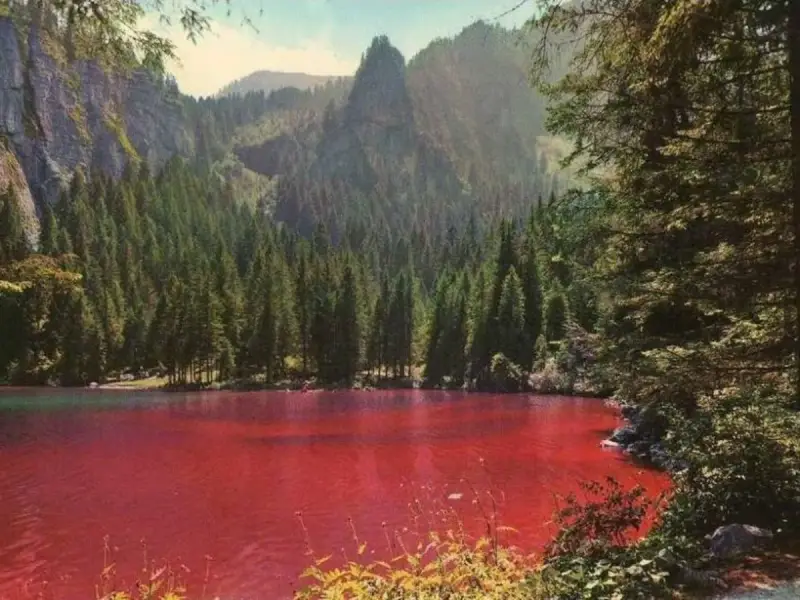 Un suggestivo lago che cambia colore, circondato da una fitta foresta di conifere e imponenti montagne.